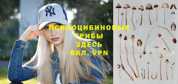 2c-b Армянск